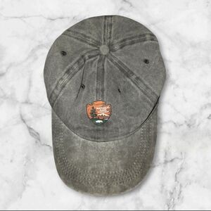 Gray National Park Men's Cap